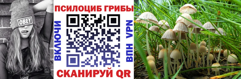 Галлюциногенные грибы Psilocybine cubensis  Тетюши 